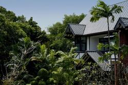 pasir-panjang-road photo thumbnail #7